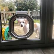 Dog Flap Fitter Nottingham